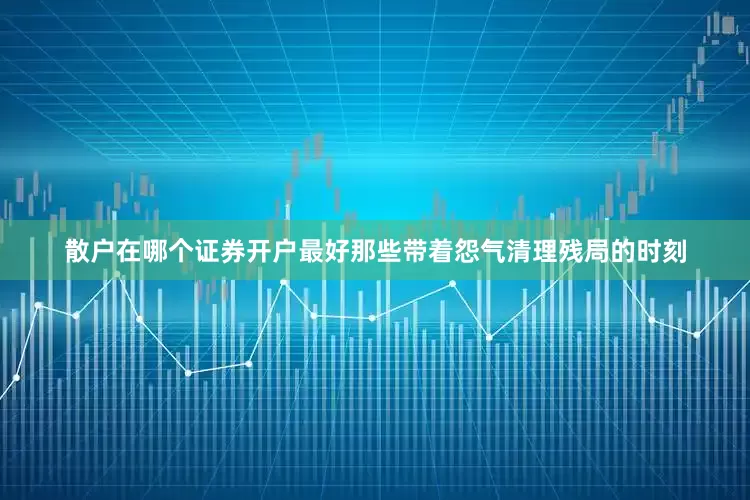散户在哪个证券开户最好那些带着怨气清理残局的时刻
