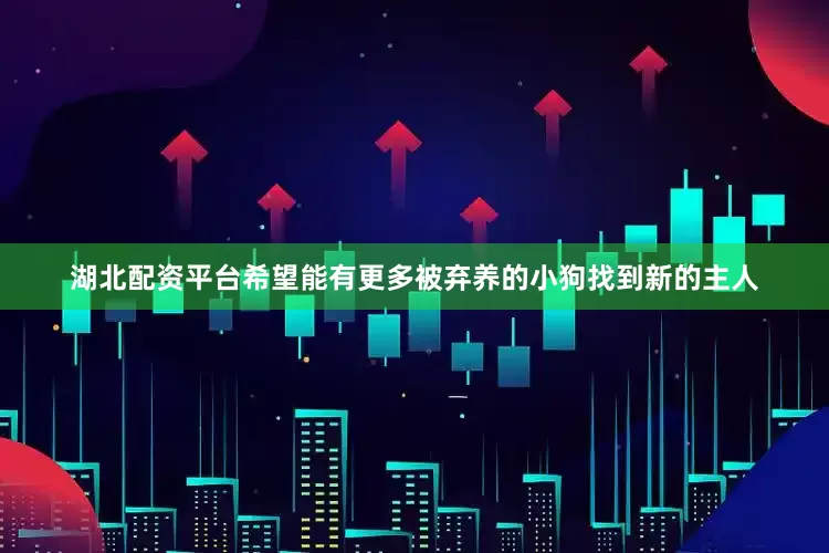 湖北配资平台希望能有更多被弃养的小狗找到新的主人